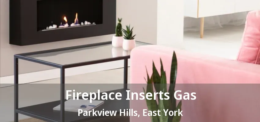 Fireplace Inserts Gas Parkview Hills, East York - ON