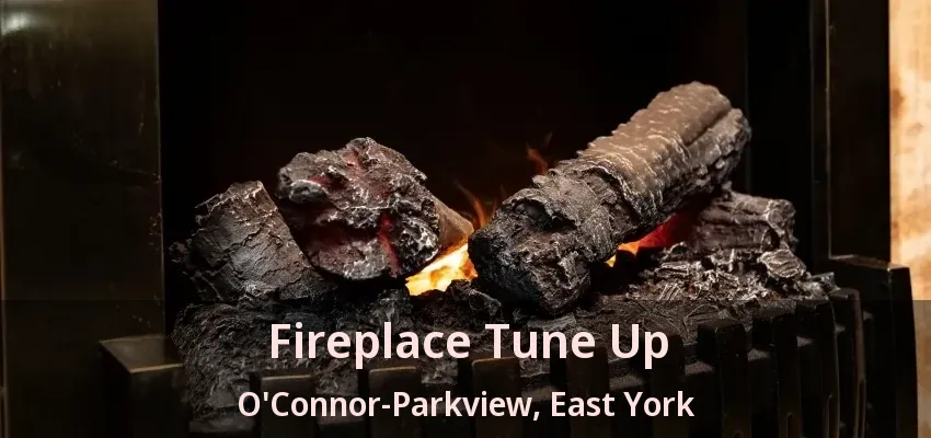 Fireplace Tune Up O'Connor-Parkview, East York - ON Fireplace Tune Up O'Connor-Parkview, East York - ON
