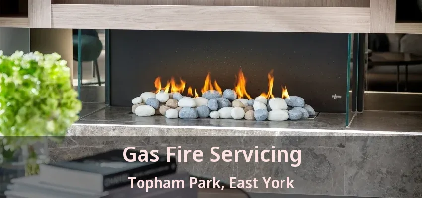 Gas Fire Servicing Topham Park, East York - ON Gas Fire Servicing Topham Park, East York - ON