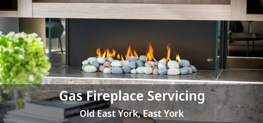 Gas Fireplace Servicing Old East York, East York - ON