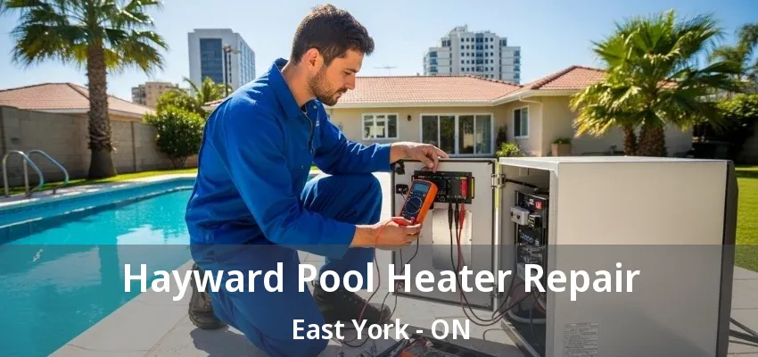 Hayward Pool Heater Repair East York - ON