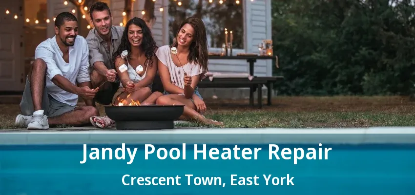 Jandy Pool Heater Repair Crescent Town, East York - ON