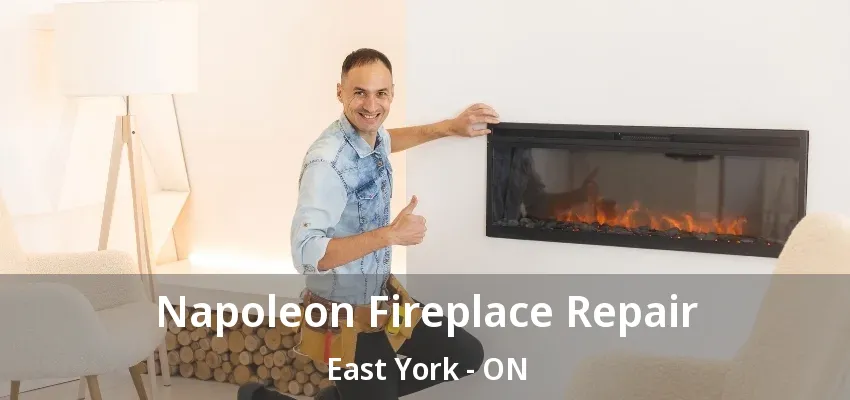 Napoleon Fireplace Repair East York - ON
