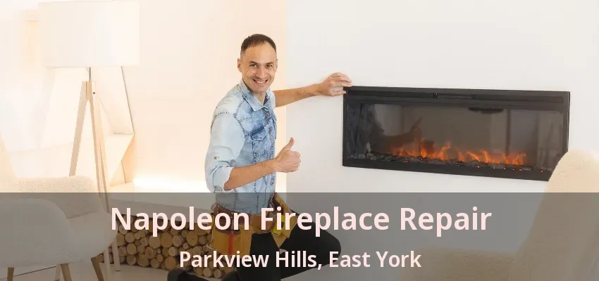 Napoleon Fireplace Repair Parkview Hills, East York - ON Napoleon Fireplace Repair Parkview Hills, East York - ON
