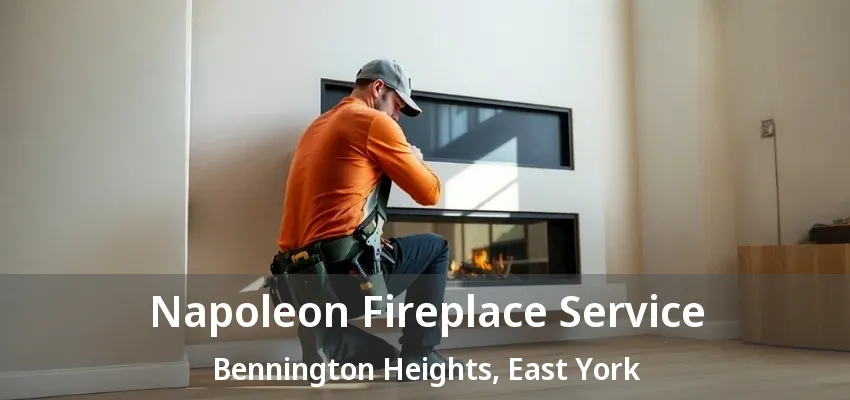Napoleon Fireplace Service Bennington Heights, East York - ON