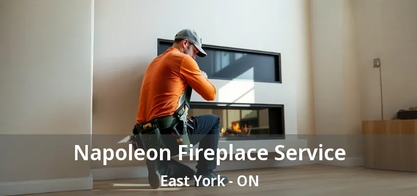 Napoleon Fireplace Service East York - ON