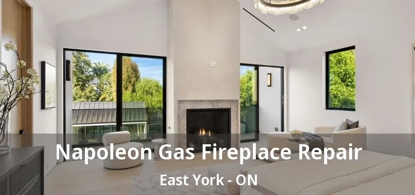 Napoleon Gas Fireplace Repair East York - ON