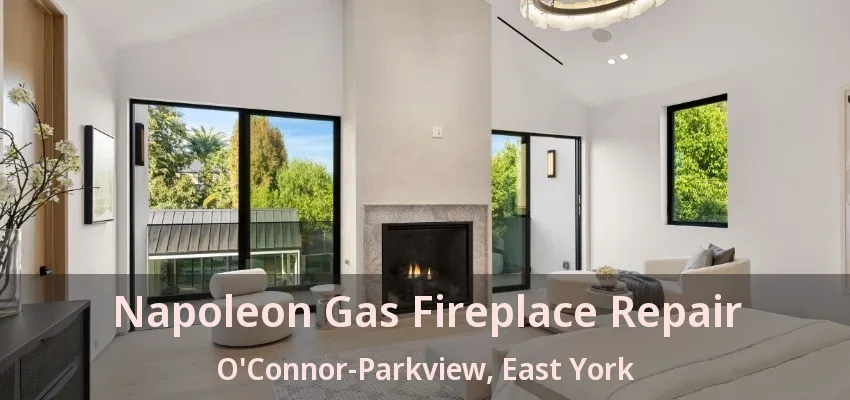 Napoleon Gas Fireplace Repair O'Connor-Parkview, East York - ON