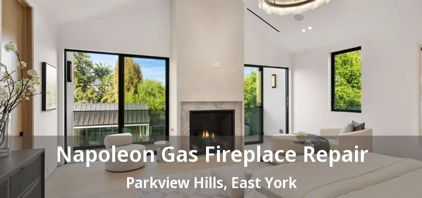 Napoleon Gas Fireplace Repair Parkview Hills, East York - ON Napoleon Gas Fireplace Repair Parkview Hills, East York - ON