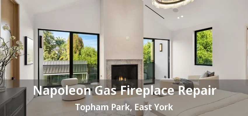 Napoleon Gas Fireplace Repair Topham Park, East York - ON Napoleon Gas Fireplace Repair Topham Park, East York - ON
