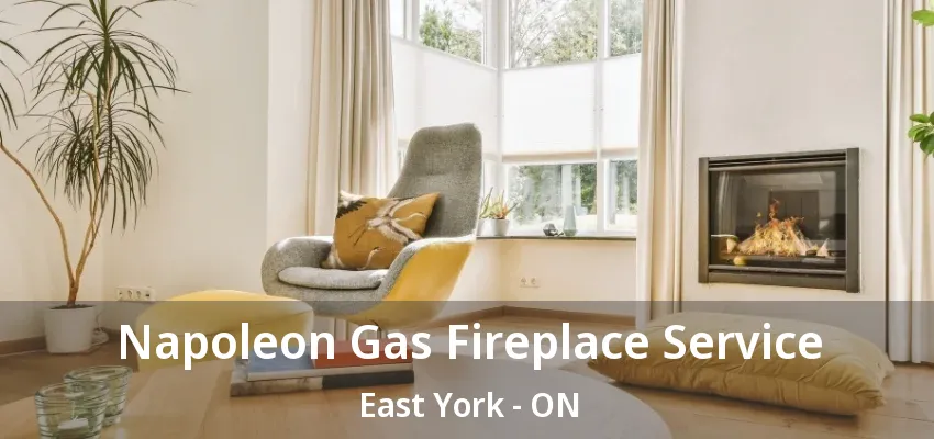 Napoleon Gas Fireplace Service East York - ON Napoleon Gas Fireplace Service East York - ON
