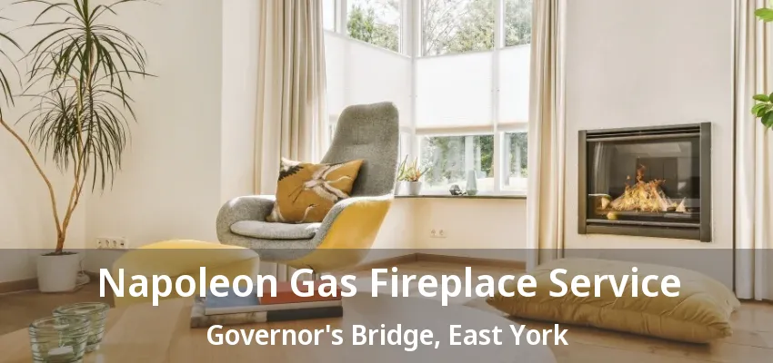 Napoleon Gas Fireplace Service Governor's Bridge, East York - ON