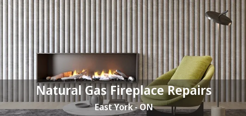 Natural Gas Fireplace Repairs East York - ON