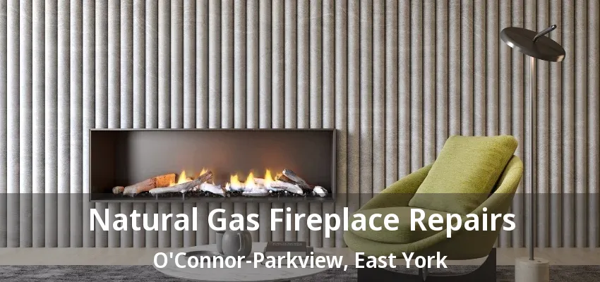 Natural Gas Fireplace Repairs O'Connor-Parkview, East York - ON Natural Gas Fireplace Repairs O'Connor-Parkview, East York - ON