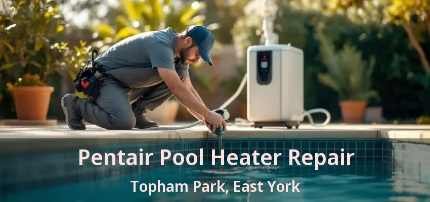 Pentair Pool Heater Repair Topham Park, East York - ON
