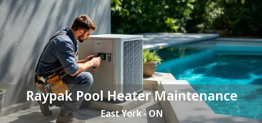Raypak Pool Heater Maintenance East York - ON Raypak Pool Heater Maintenance East York - ON