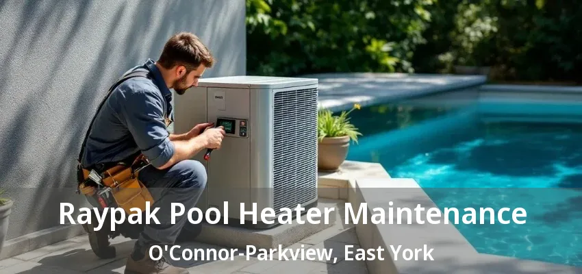Raypak Pool Heater Maintenance O'Connor-Parkview, East York - ON