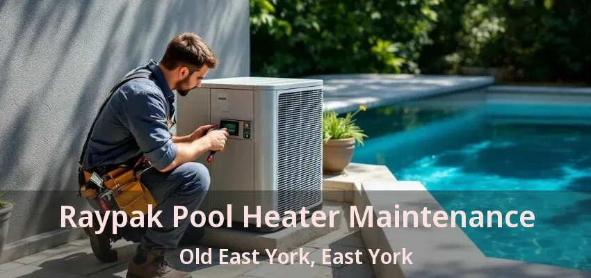 Raypak Pool Heater Maintenance Old East York, East York - ON