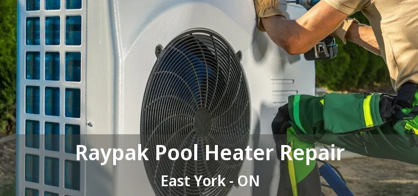 Raypak Pool Heater Repair East York - ON