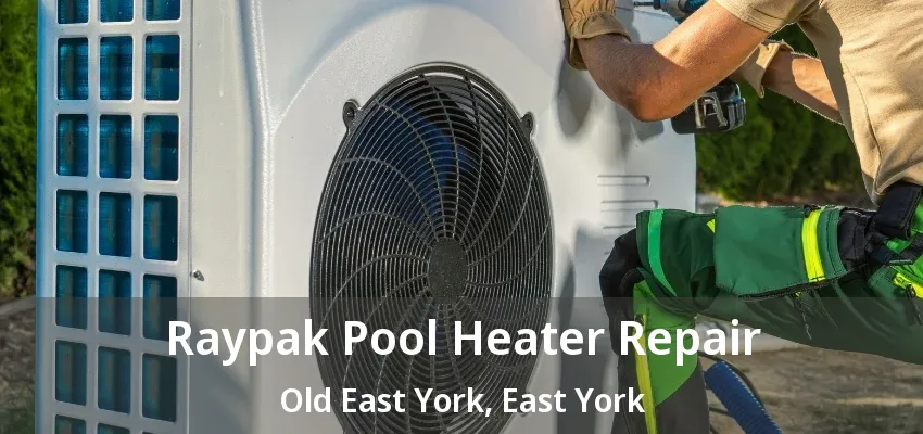 Raypak Pool Heater Repair Old East York, East York - ON