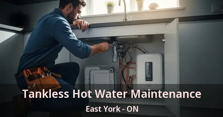 Tankless Hot Water Maintenance East York - ON Tankless Hot Water Maintenance East York - ON