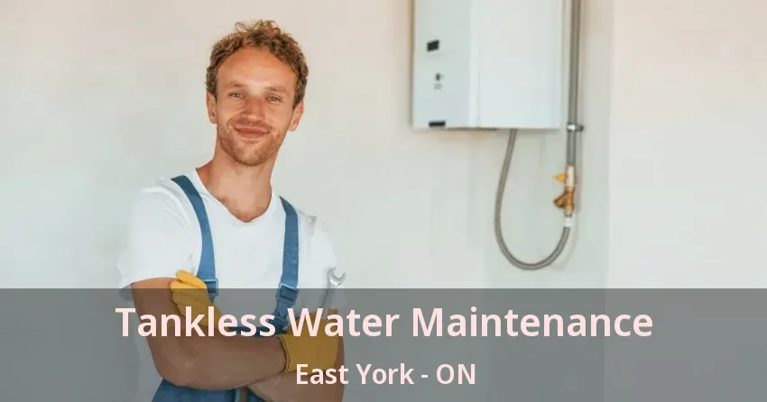 Tankless Water Maintenance East York - ON Tankless Water Maintenance East York - ON