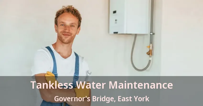 Tankless Water Maintenance Governor's Bridge, East York - ON Tankless Water Maintenance Governor's Bridge, East York - ON